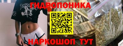 apvp Канаш