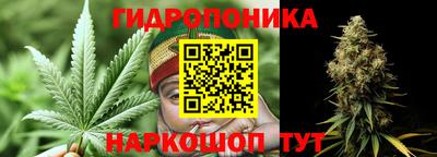 мдпв Камышлов