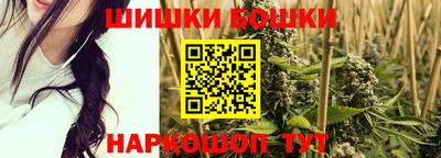 мдпв Камышлов