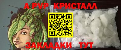 мдпв Камышлов