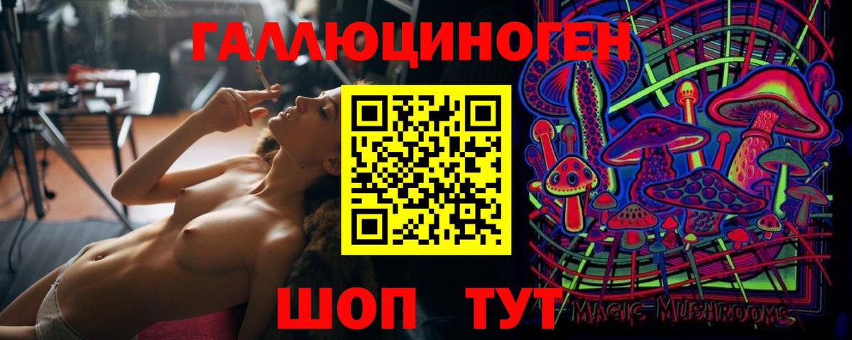 Псилоцибиновые грибы Cubensis Красный Сулин
